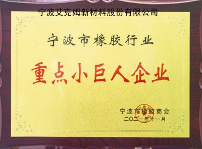 重點小巨人企業(yè)